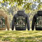 Arborist Heritage Crest Vintage Hoodie in Military Green, Kaki, Dark Gray, Black and Dark Blue, five complete back views beneath a living tree canopy with rope and pruning equipment at rest.