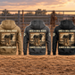 Bull Rider Once and Always Vintage Hoodie in Military Green, Kaki, Dark Gray, Black and Dark Blue, five complete back views arranged in a rodeo arena with fence and leather equipment at rest.